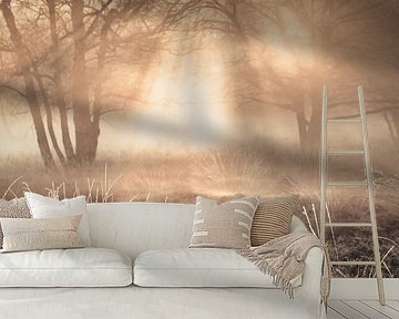 Winter on the Gasterse Duinen with beautiful light and fog by Bas Meelker