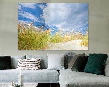Paysage de dunes sur la côte avec du soleil et un beau ciel nuageux sur Bas Meelker