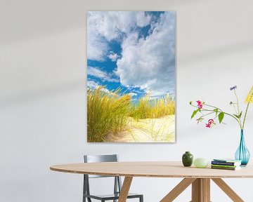 Paysage de dunes sur la côte avec du soleil et un beau ciel nuageux sur Bas Meelker