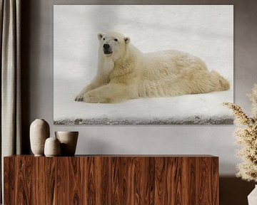 Een mooie en tevreden grote arctische ijsbeer rust (ligt) in de sneeuw in de winter te midden van sn van Michael Semenov