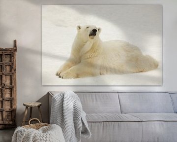 Een mooie en tevreden grote arctische ijsbeer rust (ligt) in de sneeuw in de winter te midden van sn van Michael Semenov