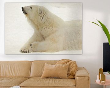 Portrait of a polar beast. Close-up. Beautiful and contented arctic polar bear in the winter against by Michael Semenov