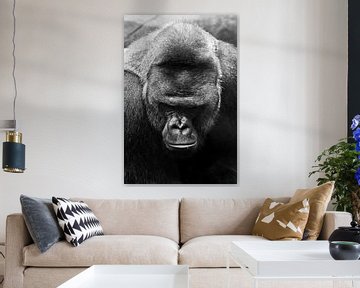 Portret van een enorme krachtige mannelijke gorilla, F zwart-wit fotosymbool van de macht van Michael Semenov