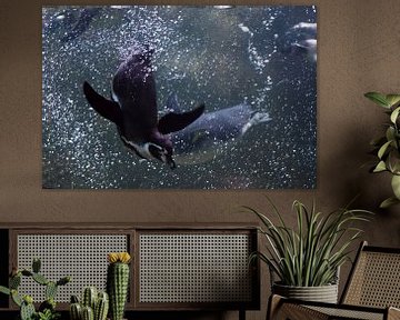 Viele Pinguine tauchen. Pinguin in Nahaufnahme schwimmt im Wasser Unterwasserfoto, in blauen Tönen v von Michael Semenov