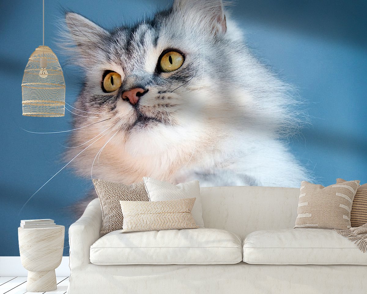 Raumvorschau