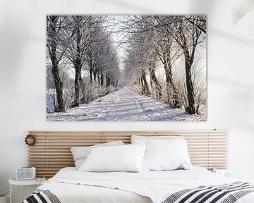 Winter wonderland van Henk de Boer