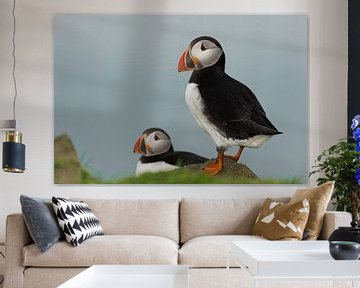 Puffin on the island of Mikines by Gerry van Roosmalen