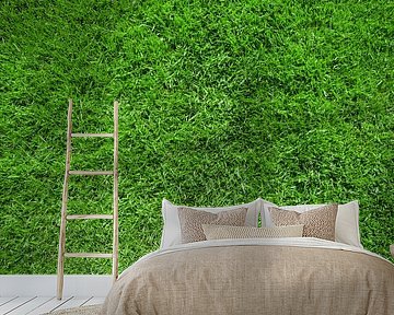 Green turf by Günter Albers