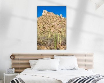Landschapsimpressie van het Saguaro Nationaal Park van Melanie Viola