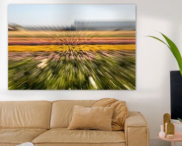 Abstract colorful of a flower field by Yanuschka Fotografie | Noordwijk