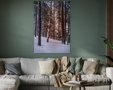 Wald in Finnisch-Lappland von Suzanne De Boer