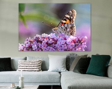 Un printemps enchanteur avec un délicat papillon comme décoration murale relaxante dans votre maison sur Christian Feldhaar