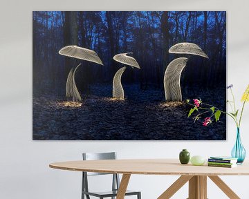 Peinture lumineuse sur les champignons sur Liesbeth van Asselt