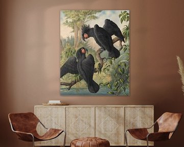Black Cockatoos by Andrea Haase