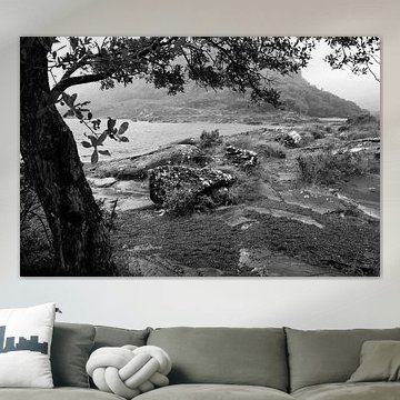 black-and-white landscape in the rain