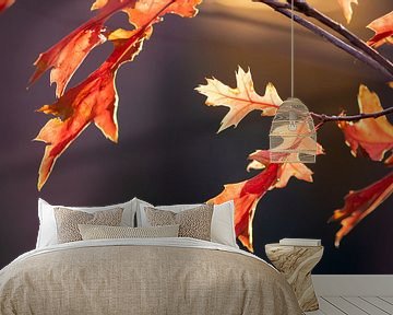Gouden herfst toont zich van zijn beste kant met kleurrijke bladeren in gouden oktober van Christian Feldhaar