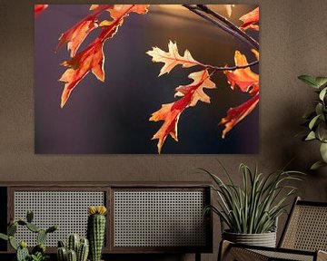 Gouden herfst toont zich van zijn beste kant met kleurrijke bladeren in gouden oktober van Christian Feldhaar