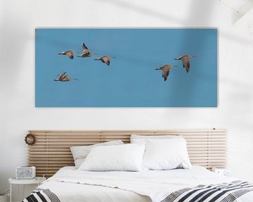 curlews in flight by Ria Bloemendaal