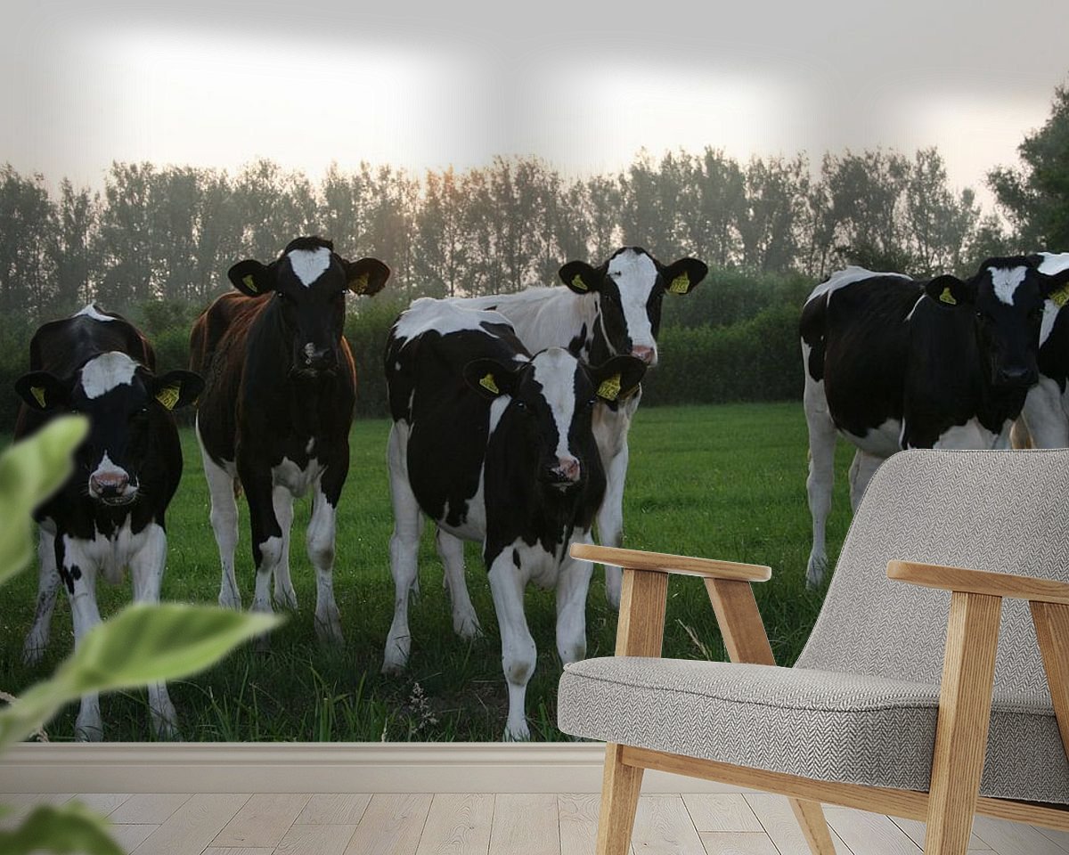 Raumvorschau