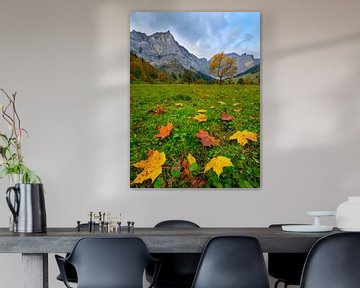 Feuilles d'érable colorées en automne dans le sol de l'érable sur Denis Feiner