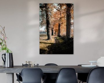 arbre