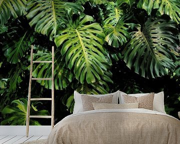 Schöne grüne Blätter/Blatt Monstera Deliciosa Blatt von Bianca ter Riet