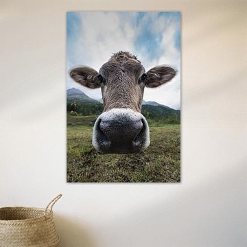Portrait d'une vache suisse. sur Rick Ermstrang