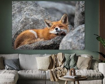 Lazy Fox van Rick Ermstrang