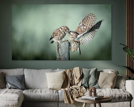 Aperçu de la chambre