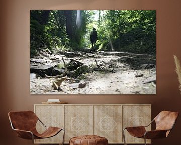 Une promenade en forêt