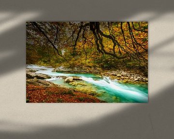 Herfstbladeren aan de wilde rivier van Denis Feiner