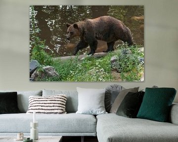 Brown Bear : Ouwehands Dierenpark by Loek Lobel