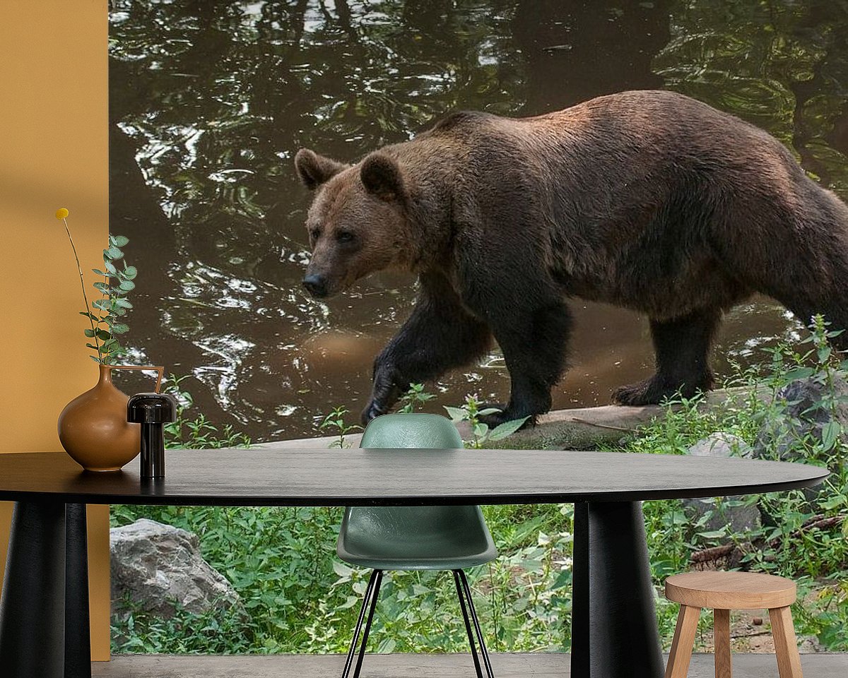 Raumvorschau