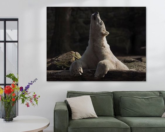 Raumvorschau