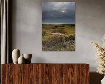 Le marais salant de Terschelling sur Foto's van ChrisTettero.nl