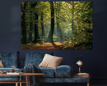 Magic forest by P Leydekkers - van Impelen