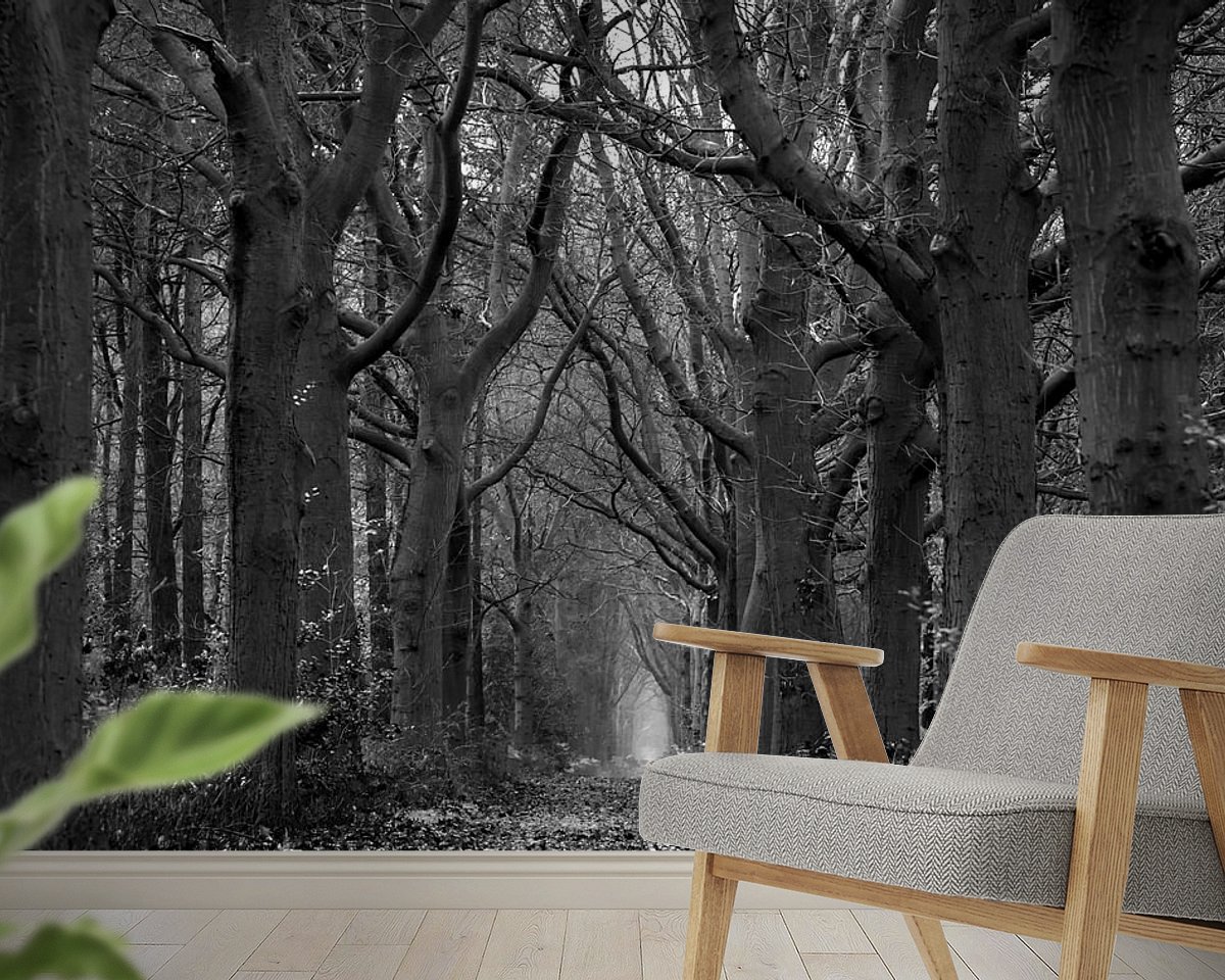 Raumvorschau
