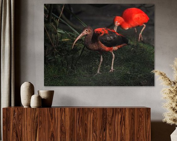 Aperçu de la chambre