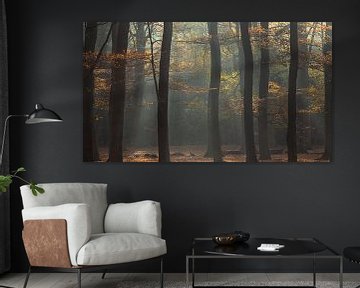 Silhouetten in herfst kleuren van P Leydekkers - van Impelen