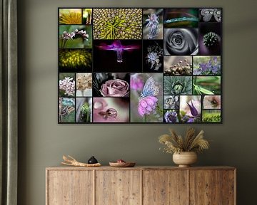 Collage de fleurs
