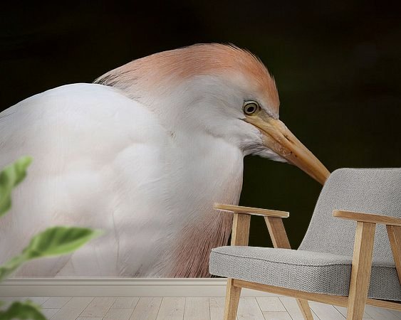 Raumvorschau