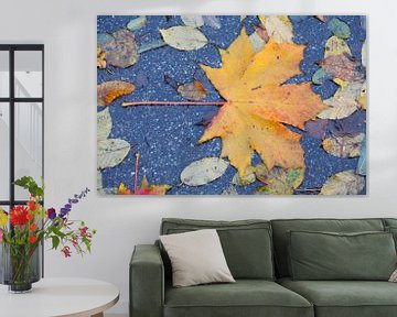 Kleurrijk esdoornblad in de herfst, abstract