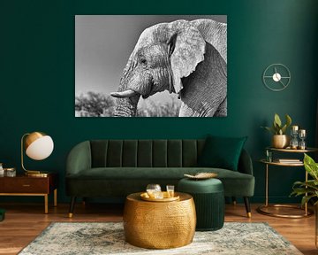 Elephant portrait by Angelika Stern