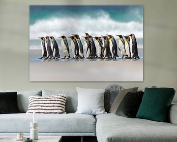 Mars van de pinguïns van Gladys Klip