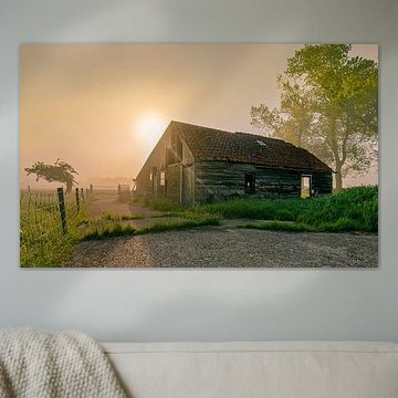 Abgelaufene Scheune eines Morgens mit Nebel in Nordholland