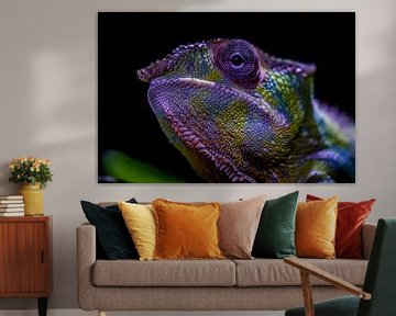 Panther Chameleon Furcifer pardalis