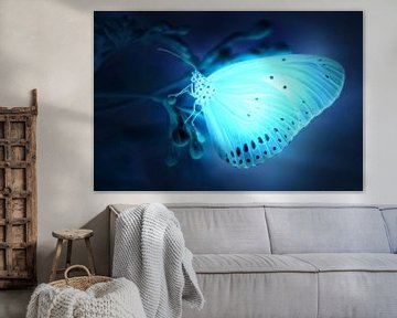 Een lichtblauw verlichte vlinder van Bert Hooijer
