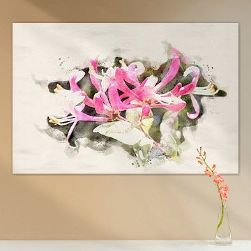 Chèvrefeuille en fleurs