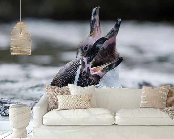 Raumvorschau