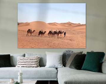 Dromedarissen in de Sahara